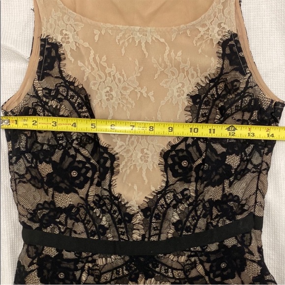 Loft Petite Lace Peplum Tank - Nude & Black Overlay • Holiday Party Top - Picture 7 of 11